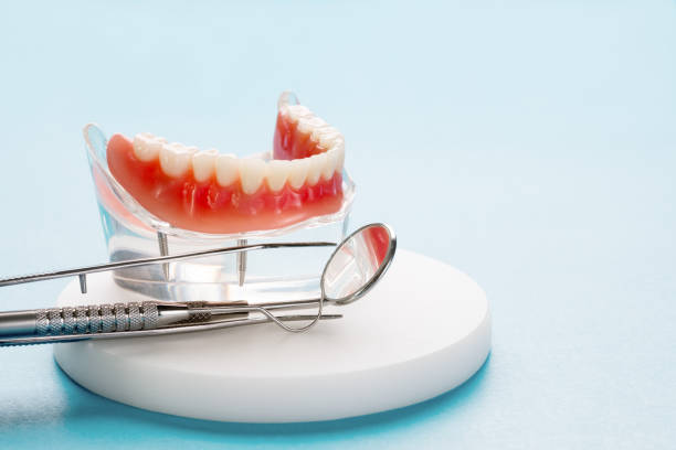 Best Dental Fillings (Composite and Amalgam)  in Atlantis, FL